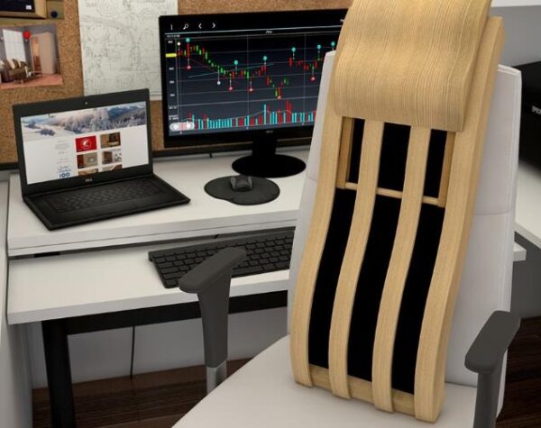 Infrarood Rugleuning - Afbeelding 5