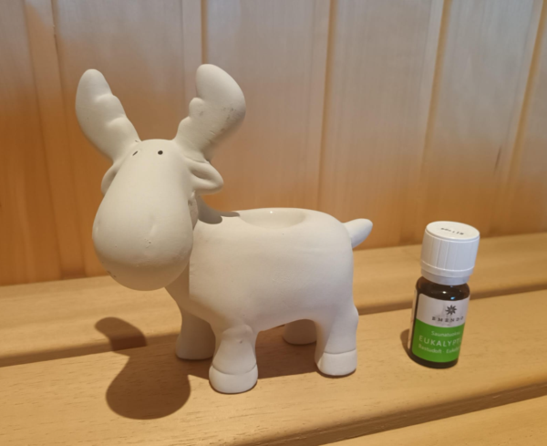 Sauna rendier met eucalyptus 10ml - Afbeelding 2